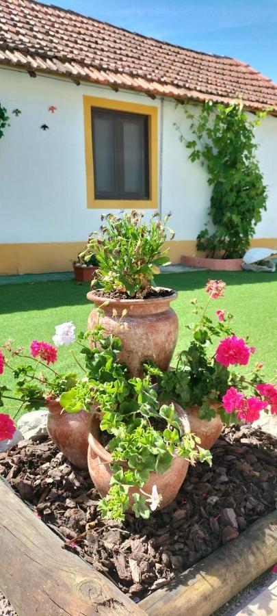 Vila Natura Barreiro  Εξωτερικό φωτογραφία