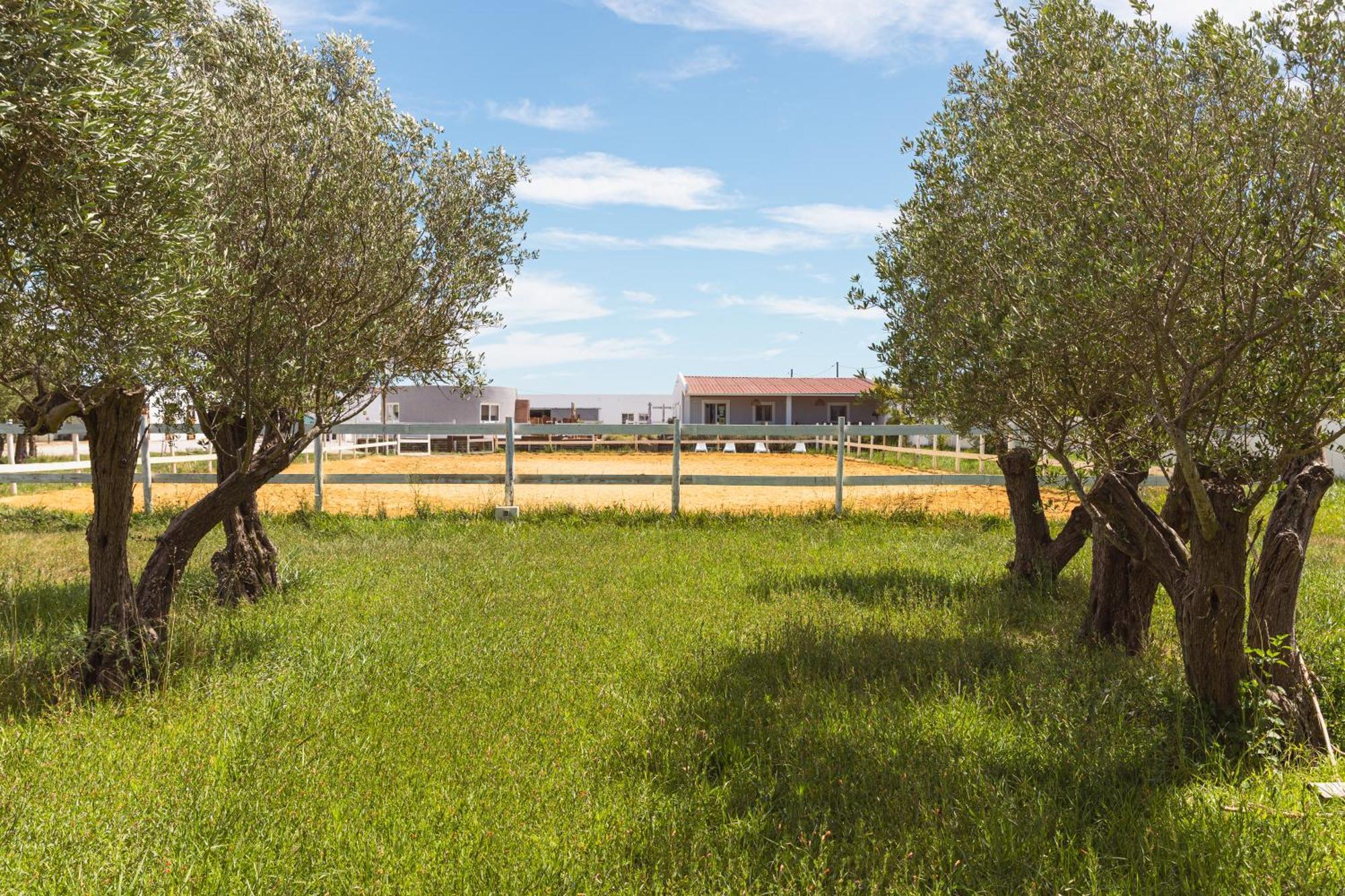 Vila Natura Barreiro  Εξωτερικό φωτογραφία